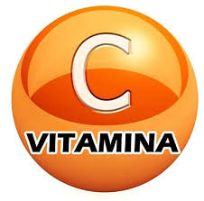 Probióticos herbolario con vitamina C: nota la diferencia en tu salud