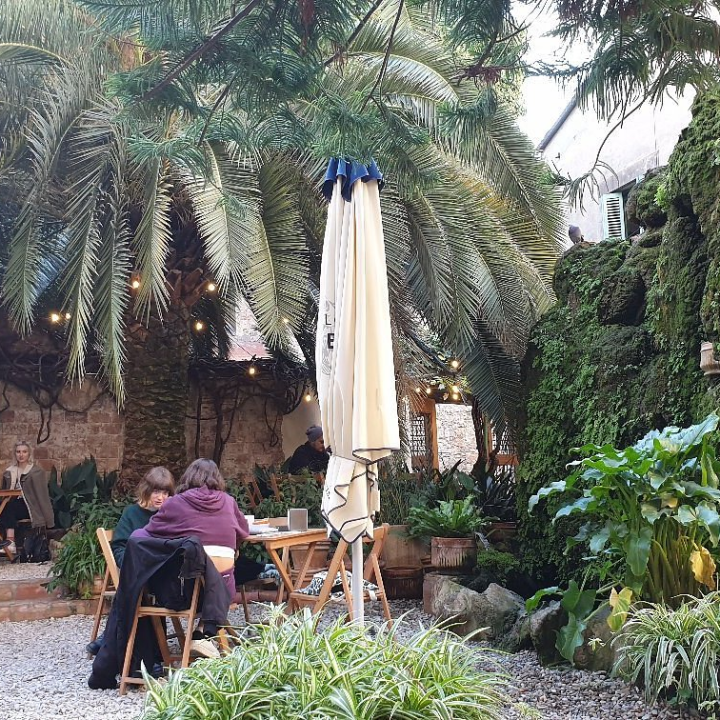 La Central del Raval: Un Templo de Papel en la Antigua Capilla de la Misericordia